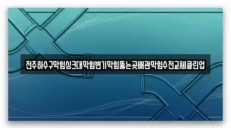 전주하수구막힘싱크대막힘변기막힘뚫는곳배관막힘수전교체클린업