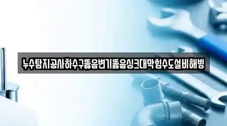 누수탐지공사하수구뚫음변기뚫음싱크대막힘수도설비해빙