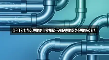 싱크대막힘하수구막힘변기막힘뚫는곳배관막힘정화조막힘누수탐지