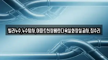 빌라누수,누수탐사,아파트천장베란다욕실화장실공사,집수리