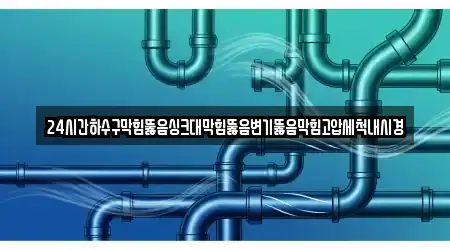 24시간하수구막힘뚫음싱크대막힘뚫음변기뚫음막힘고압세척내시경