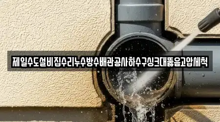 전북특별자치도 전주 완산구 석구동 17 하수구뚫음 인근 위치