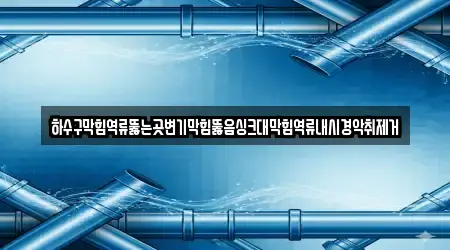 하수구막힘역류뚫는곳변기막힘뚫음싱크대막힘역류내시경악취제거