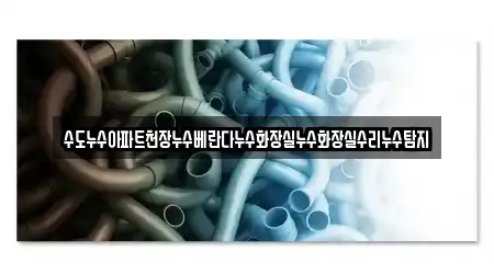 수도누수아파트천장누수베란다누수화장실누수화장실수리누수탐지