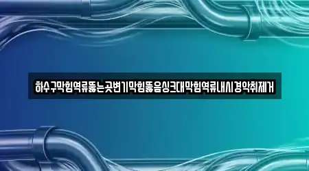 하수구막힘역류뚫는곳변기막힘뚫음싱크대막힘역류내시경악취제거
