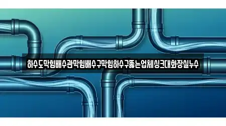 하수도막힘배수관막힘배수구막힘하수구뚫는업체싱크대화장실누수