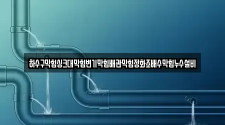 하수구막힘싱크대막힘변기막힘배관막힘정화조배수막힘누수설비