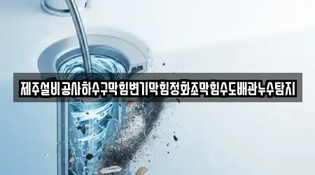제주설비공사하수구막힘변기막힘정화조막힘수도배관누수탐지