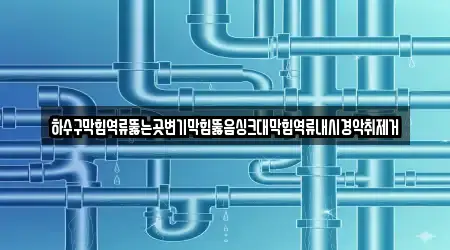 하수구막힘역류뚫는곳변기막힘뚫음싱크대막힘역류내시경악취제거