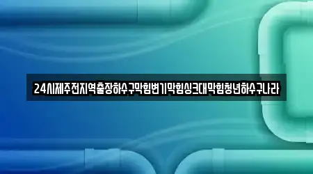 24시제주전지역출장하수구막힘변기막힘싱크대막힘청년하수구나라