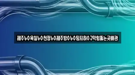 제주누수욕실누수천정누수제주방수누수탐지하수구막힘뚫는곳배관