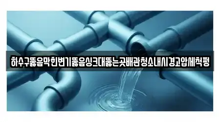 제주특별자치도 서귀포시 색달동 근처 변기뚫음,누수탐지,누수,하수구막힘,싱크대막힘 15곳