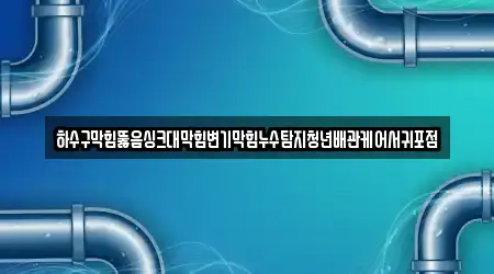 하수구막힘뚫음싱크대막힘변기막힘누수탐지청년배관케어서귀포점