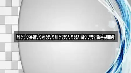 제주누수욕실누수천정누수제주방수누수탐지하수구막힘뚫는곳배관