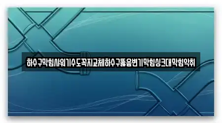 하수구막힘샤워기수도꼭지교체하수구뚫음변기막힘싱크대막힘악취