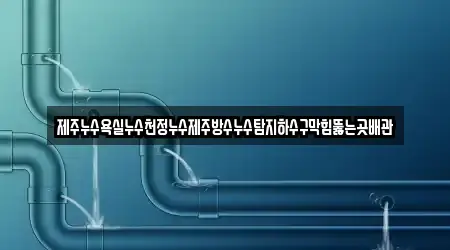 제주누수욕실누수천정누수제주방수누수탐지하수구막힘뚫는곳배관