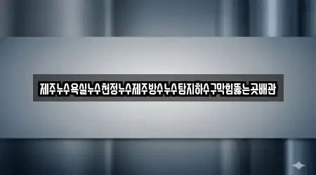 제주누수욕실누수천정누수제주방수누수탐지하수구막힘뚫는곳배관