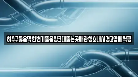 하수구뚫음막힌변기뚫음싱크대뚫는곳배관청소내시경고압세척펑