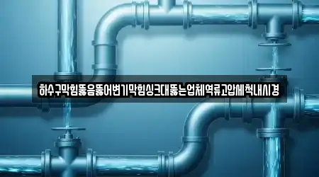 하수구막힘뚫음뚫어변기막힘싱크대뚫는업체역류고압세척내시경