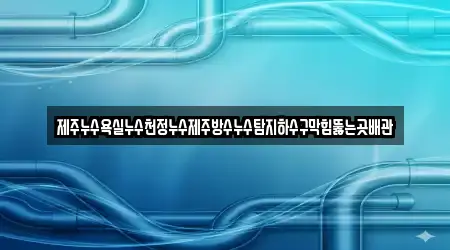 제주누수욕실누수천정누수제주방수누수탐지하수구막힘뚫는곳배관