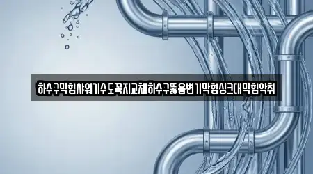 하수구막힘샤워기수도꼭지교체하수구뚫음변기막힘싱크대막힘악취