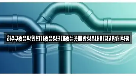 하수구뚫음막힌변기뚫음싱크대뚫는곳배관청소내시경고압세척펑