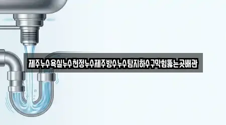 제주누수욕실누수천정누수제주방수누수탐지하수구막힘뚫는곳배관