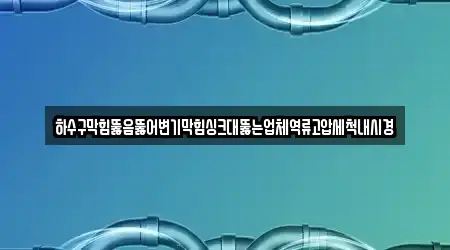 하수구막힘뚫음뚫어변기막힘싱크대뚫는업체역류고압세척내시경