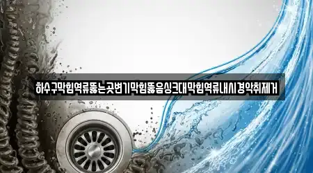 하수구막힘역류뚫는곳변기막힘뚫음싱크대막힘역류내시경악취제거