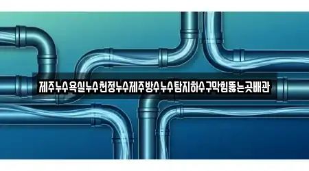 제주누수욕실누수천정누수제주방수누수탐지하수구막힘뚫는곳배관