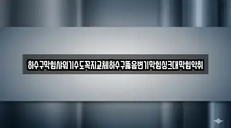하수구막힘샤워기수도꼭지교체하수구뚫음변기막힘싱크대막힘악취