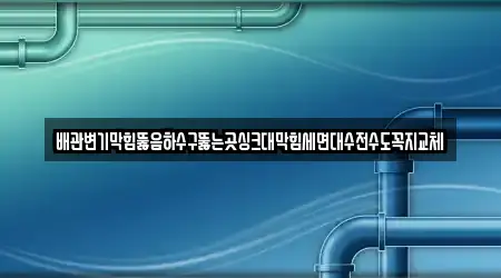 배관변기막힘뚫음하수구뚫는곳싱크대막힘세면대수전수도꼭지교체