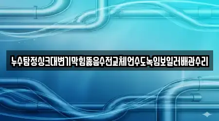 누수탐정싱크대변기막힘뚫음수전교체언수도녹임보일러배관수리