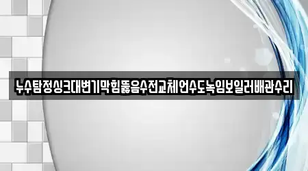 누수탐정싱크대변기막힘뚫음수전교체언수도녹임보일러배관수리