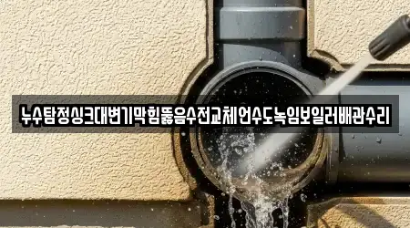 누수탐정싱크대변기막힘뚫음수전교체언수도녹임보일러배관수리