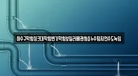 하수구막힘싱크대막힘변기막힘보일러배관청소누수탐지언수도녹임