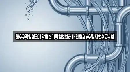 하수구막힘싱크대막힘변기막힘보일러배관청소누수탐지언수도녹임