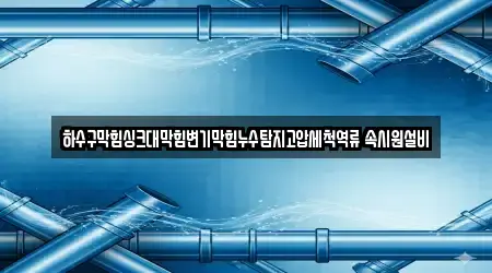 하수구막힘싱크대막힘변기막힘누수탐지고압세척역류 속시원설비