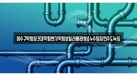 하수구막힘싱크대막힘변기막힘보일러배관청소누수탐지언수도녹임