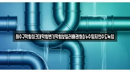 하수구막힘싱크대막힘변기막힘보일러배관청소누수탐지언수도녹임