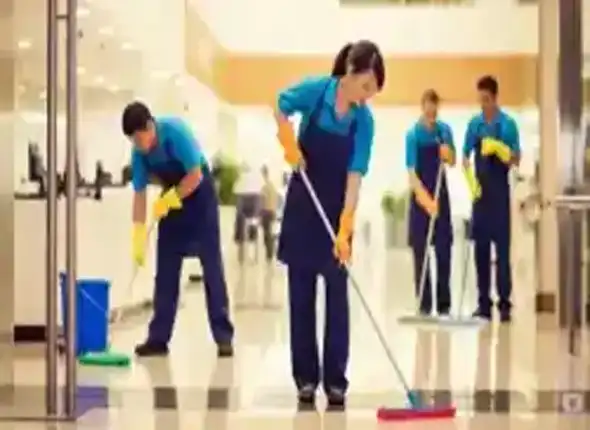 cleaning006.webp