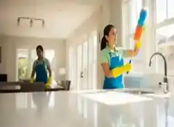 cleaning008.webp