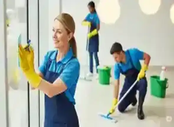 cleaning104.webp