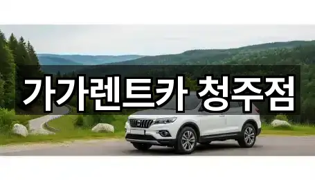가가렌트카 청주점