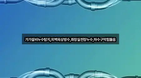 가가설비누수탐지,외벽옥상방수,화장실천장누수,하수구막힘뚫음