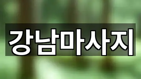 핵심만 보기: 모가면 마사지 1곳