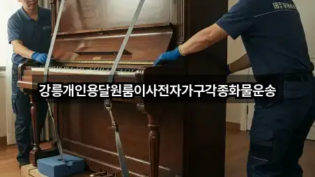 강릉 구정면 이사 5곳 주변 한눈에