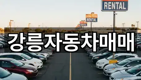 강원 강릉 노암동 중고차 지도에서 한 번에 5곳