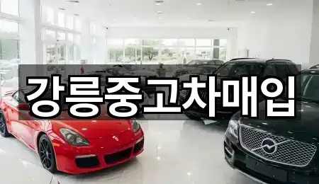 강릉중고차매입