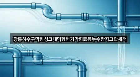 강릉하수구막힘싱크대막힘변기막힘뚫음누수탐지고압세척